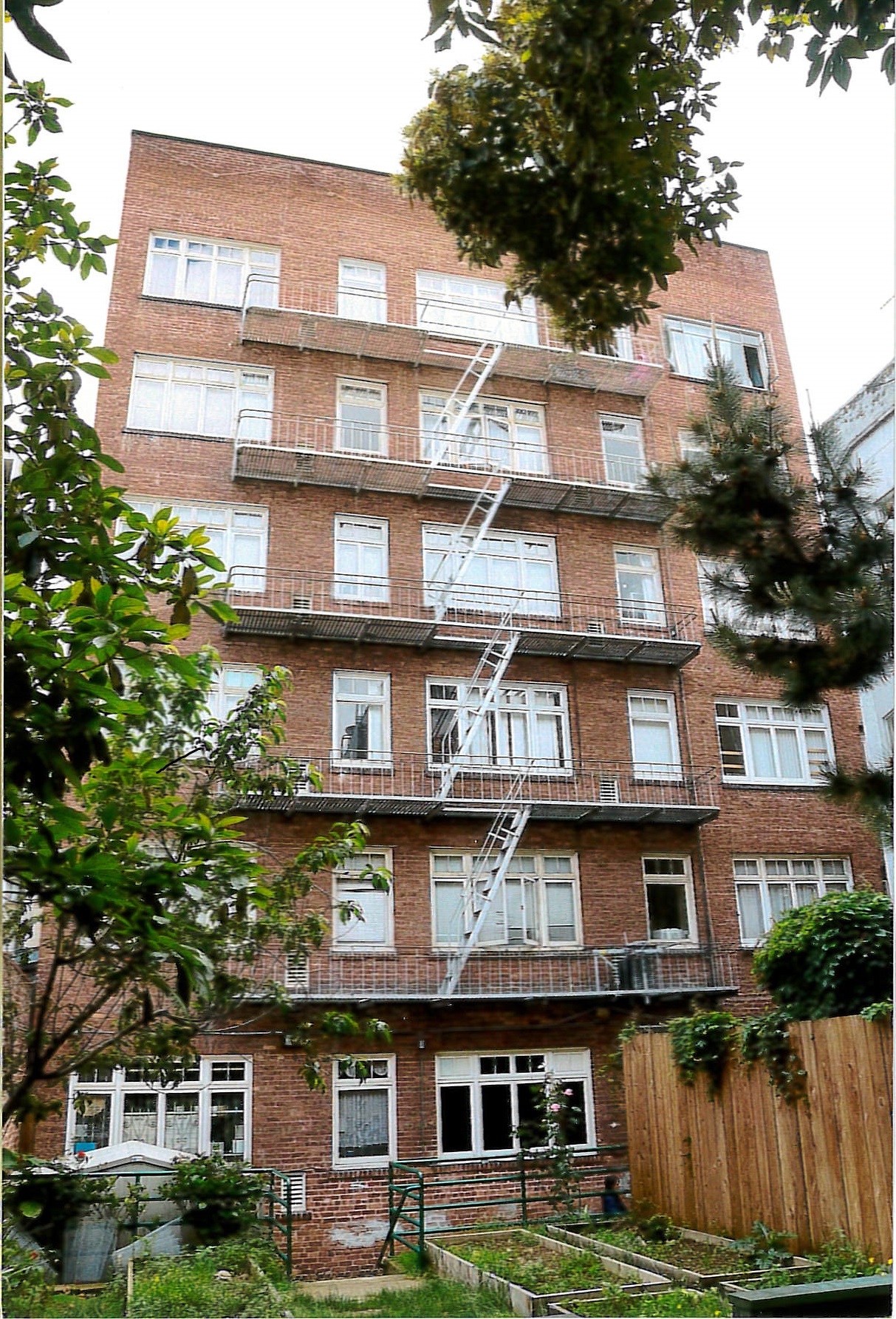 Rear of building and yard